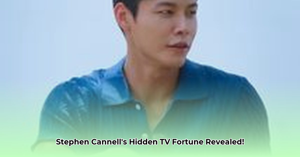 stephen-j-cannell-net-worth